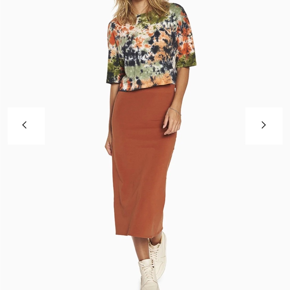 Elegant Rust Skirt